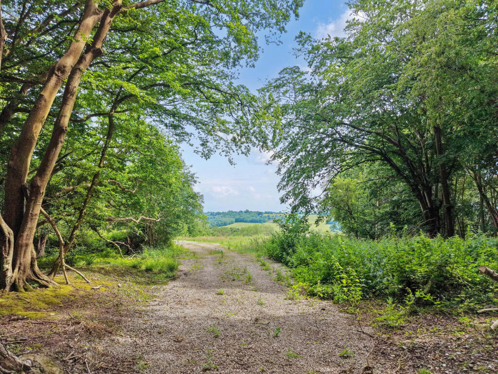 Starvecrow Lane, Peasmarsh, Rye - View 2