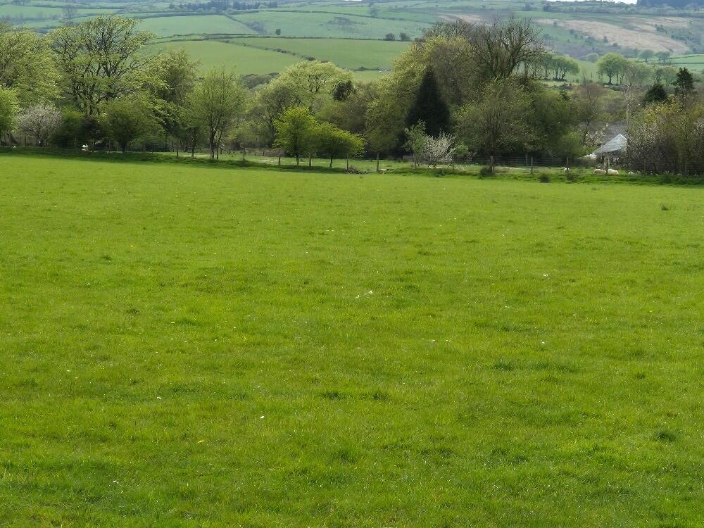 Main image of property: Llanfynydd SA32 