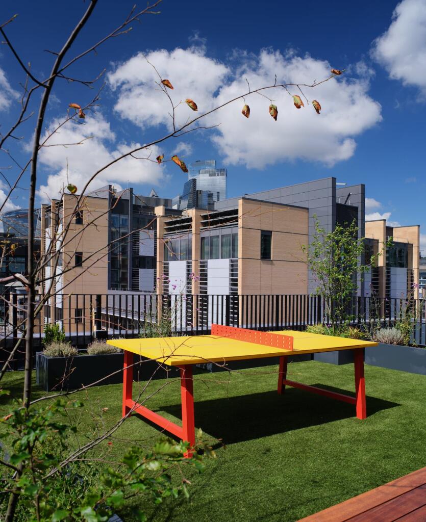 Communal Roof Terrace