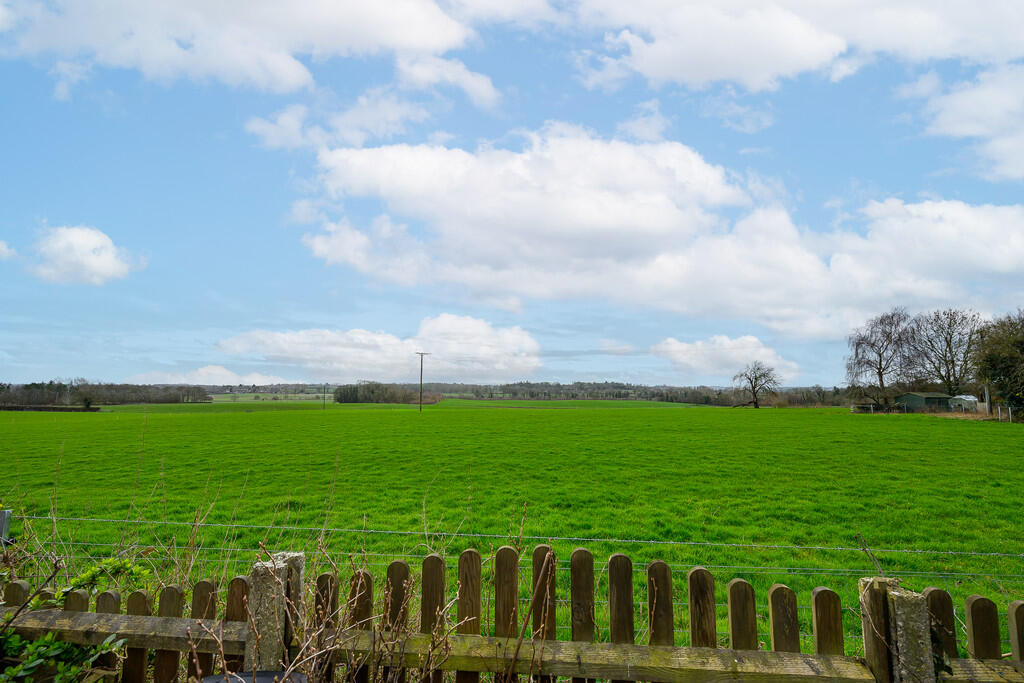 Robin Lane, Edgmond photo 2