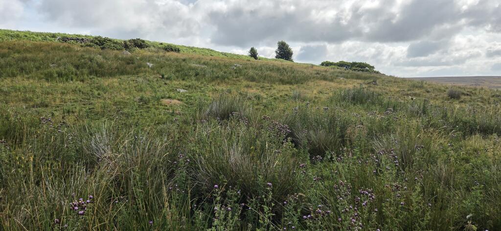 Main image of property: Land at Fowl Green Farm, Commondale, Whitby, North Yorkshire
