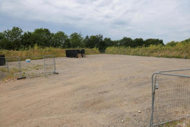 IMG_9996.JPG