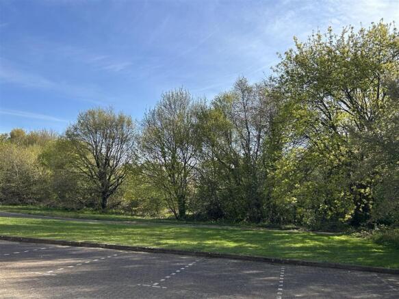 IMG_6814 2.jpg