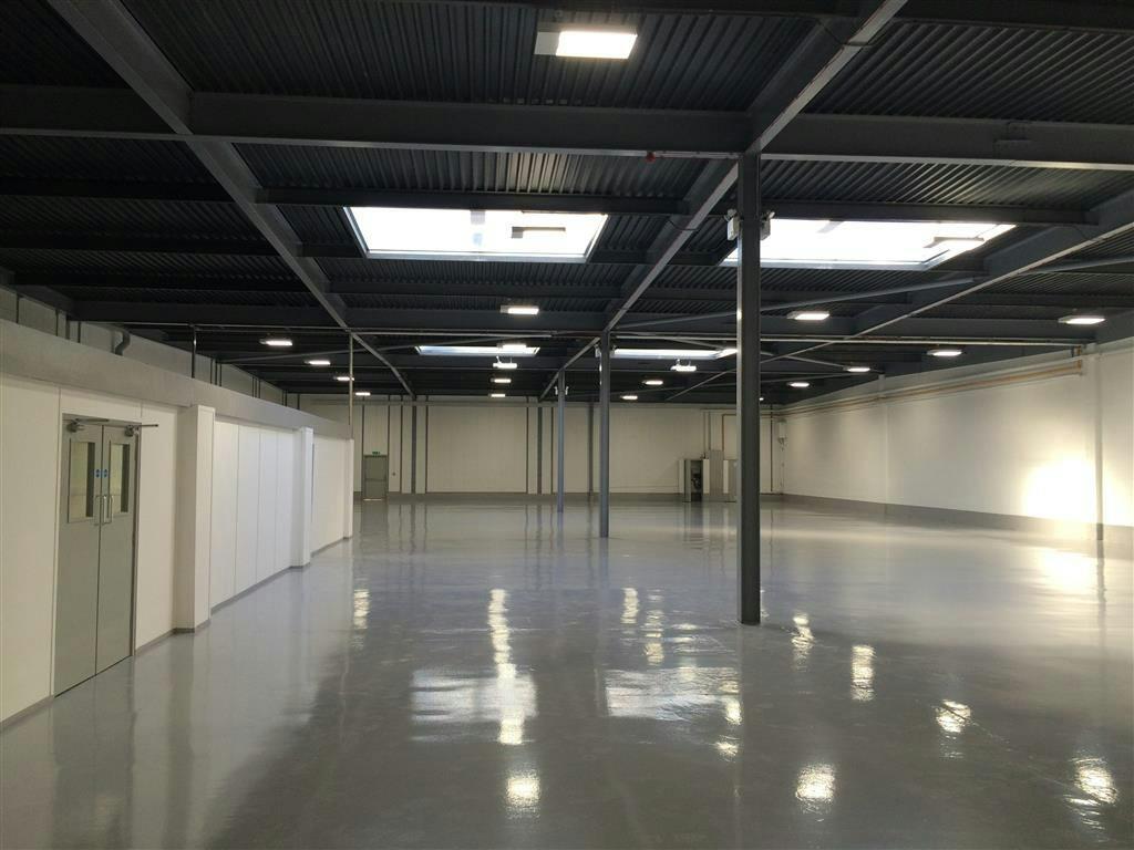 018 Medium.JPG