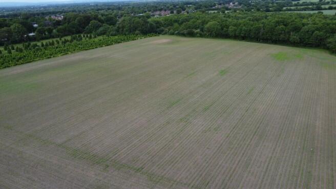 DJI_0486.JPG