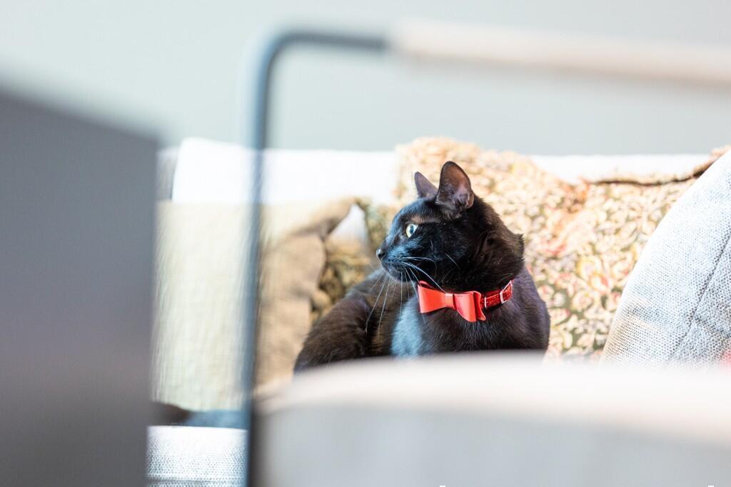 Additional image 7 of Flat 418, Digbeth, Birmingham, B5