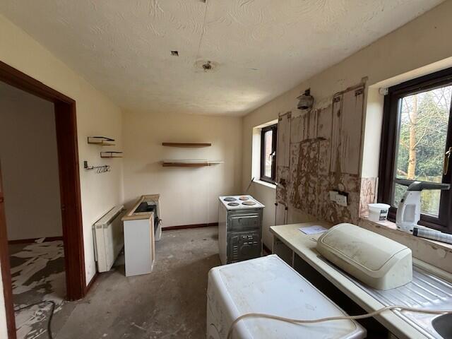 1C Wilberforce Road, Norwich, Norfolk NR5 8ND photo 3
