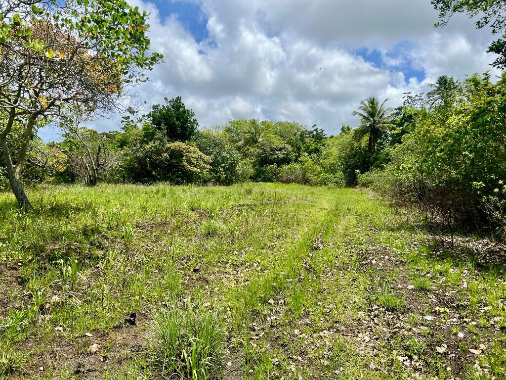 Main image of property: Vieux Fort