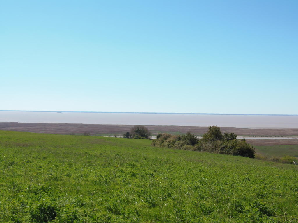 Main image of property: 17120 chenac-st-seurin-d-uzet