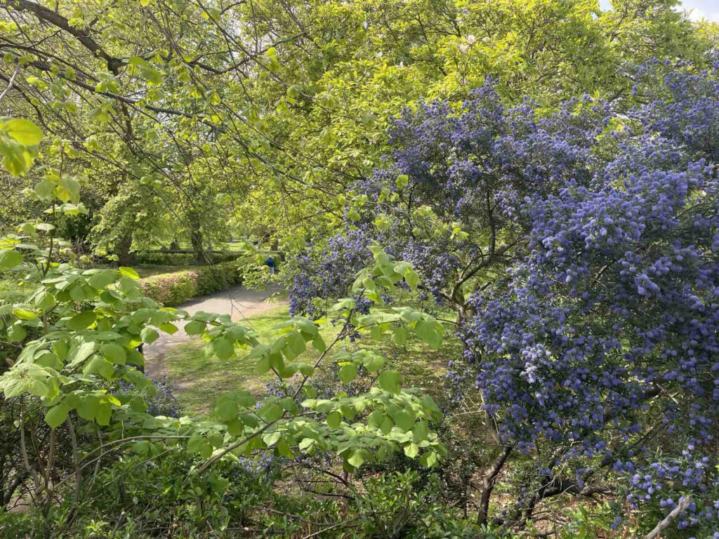 House in London - View 5