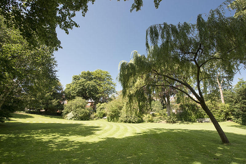 Photo of the property