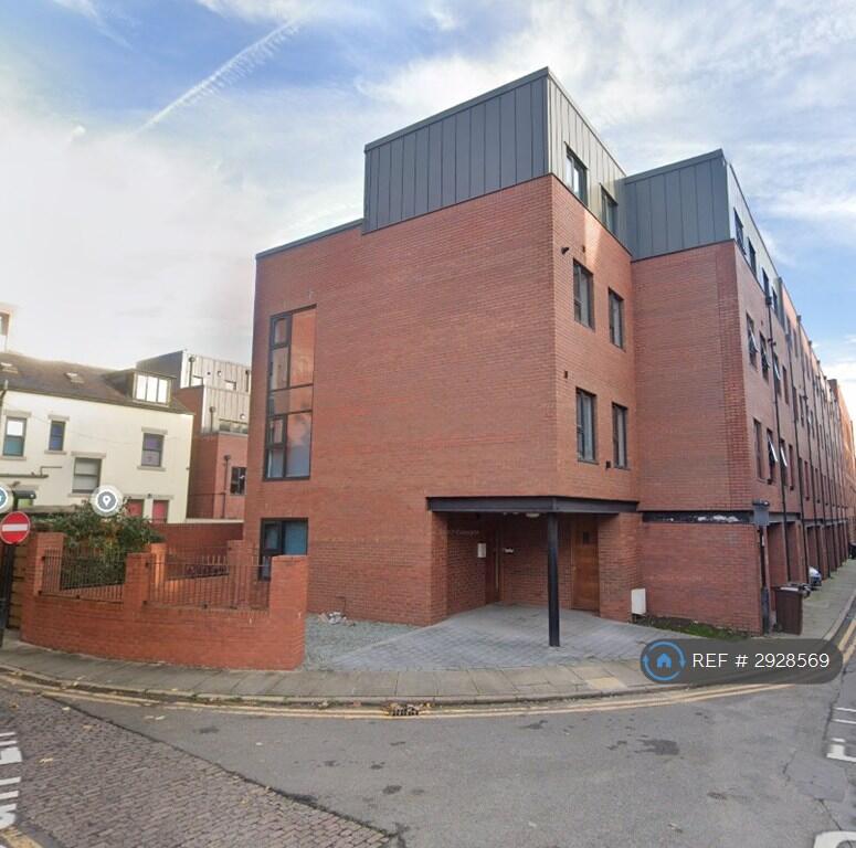 Dun Field, Sheffield, S3