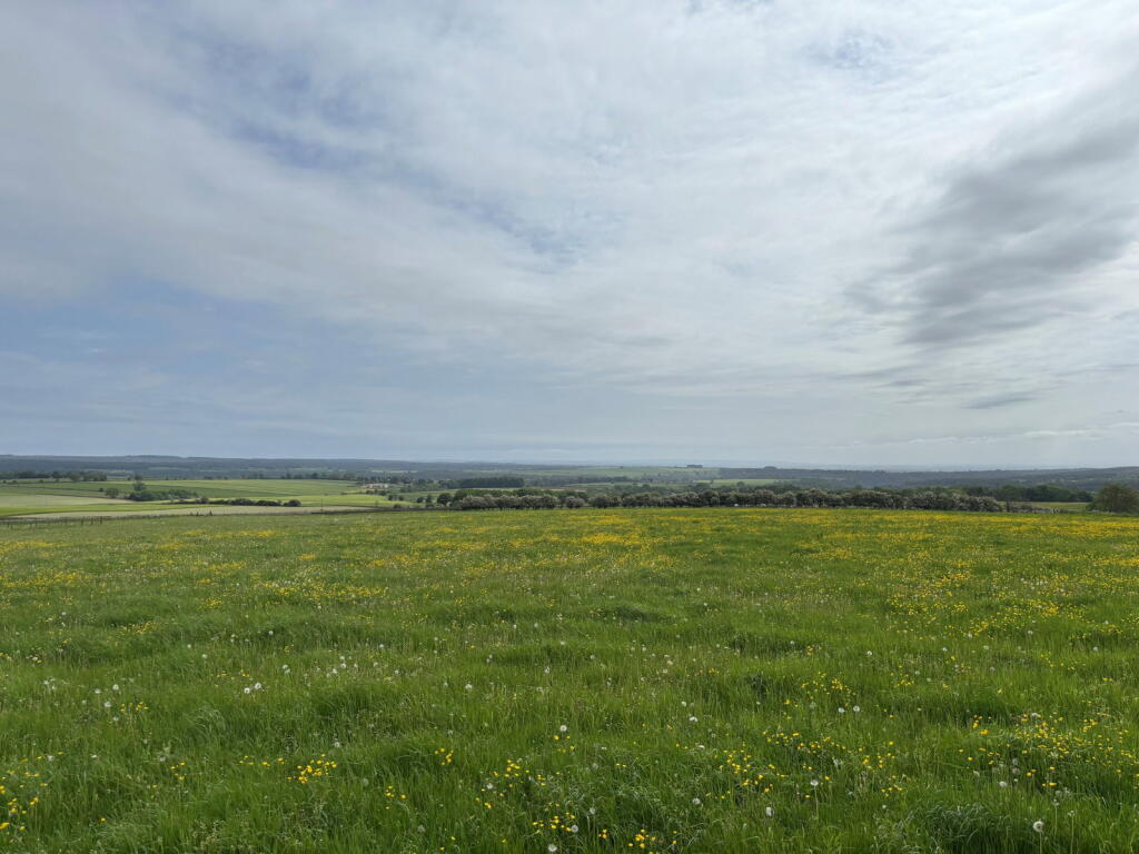 Main image of property: 8.87 Acres of Permanent Grassland, Cold Kirby, Thirsk