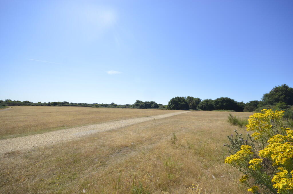 Additional image 15 of Turbary Park Avenue, Bournemouth