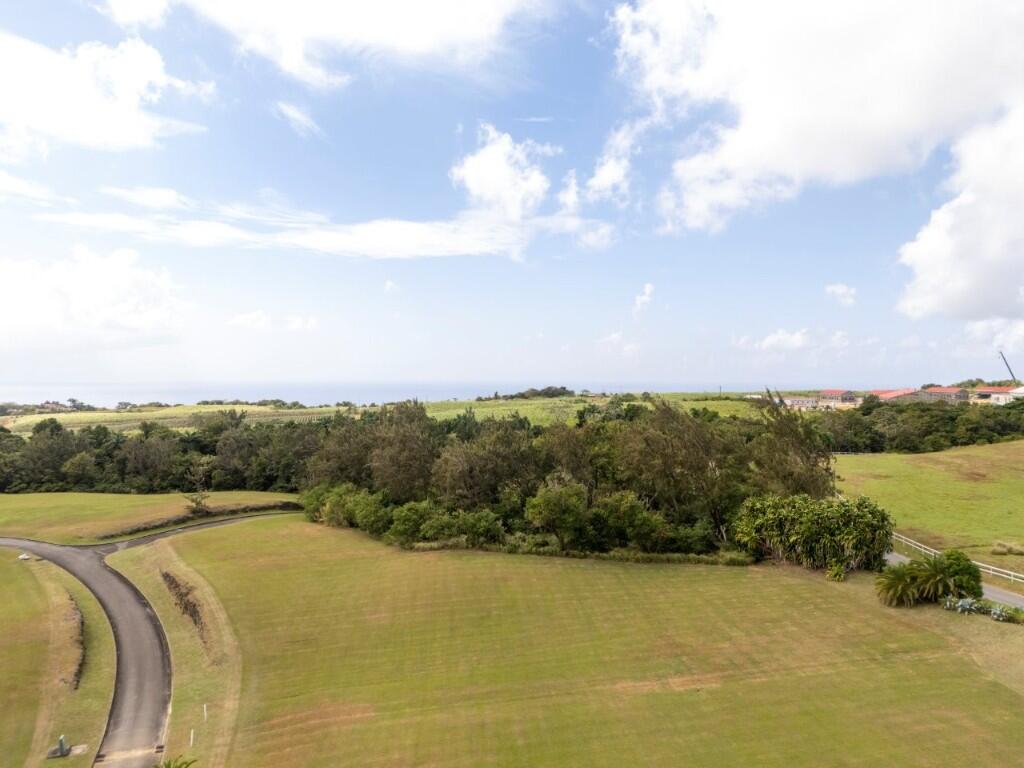 Main image of property: Lion Castle, St Thomas