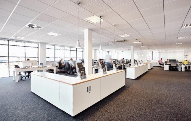 Office Suits