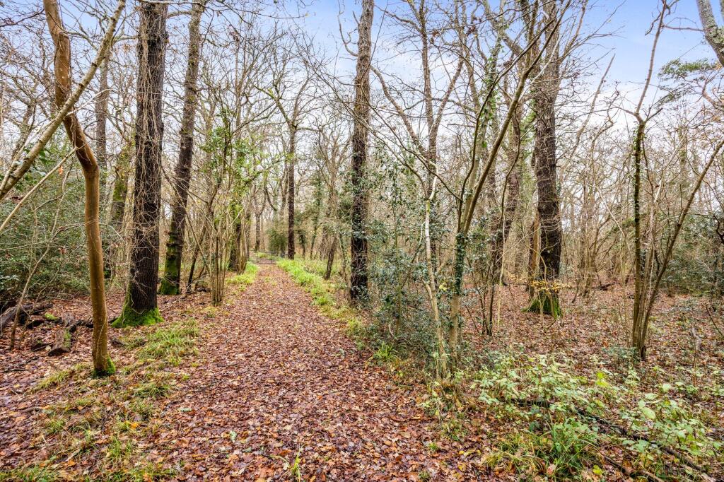 Brighton Road, Hassocks, BN6 - View 6