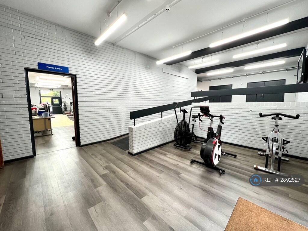1 bedroom flat share for rent