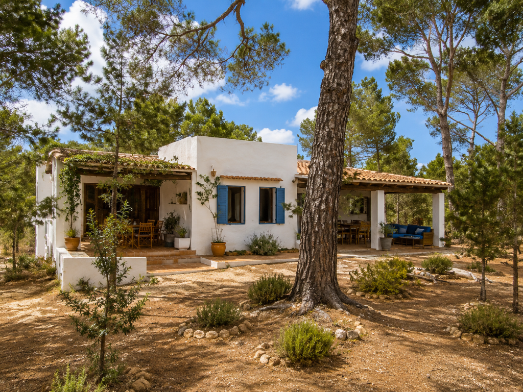 Main image of property: Cala Saona, Formentera, Balearic Islands
