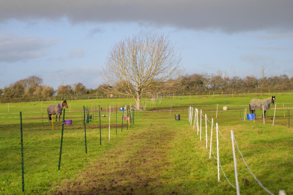 Additional image 19 of Queen Street, Tintinhull, Yeovil, Somerset, BA22