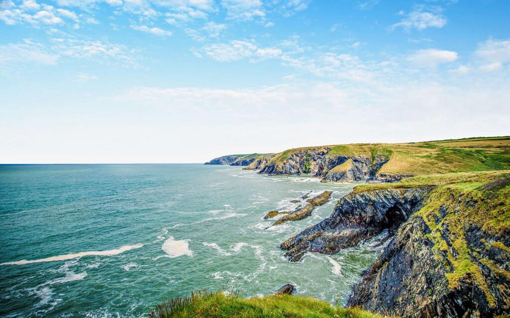 House in Swansea - View 5
