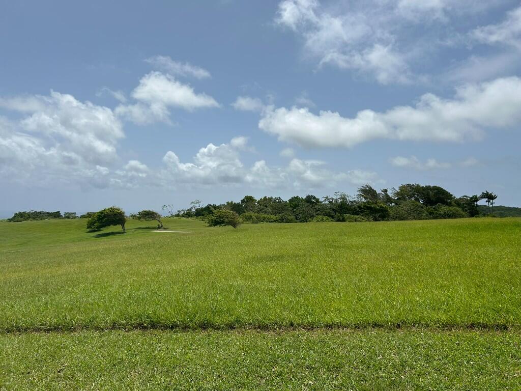 Main image of property: Apes Hill, St James