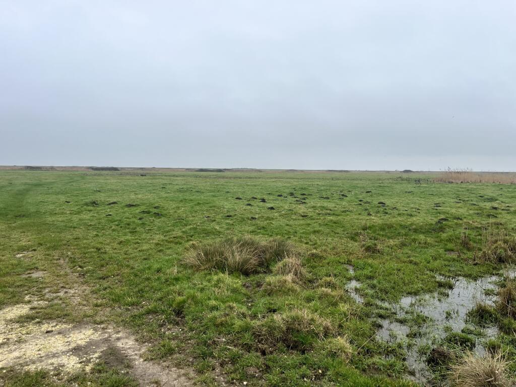 Main image of property: 24.58 Acres Of Marsh Land At Cley-Next-The-Sea