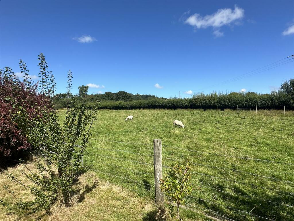 Falcondale Drive, Lampeter photo 4