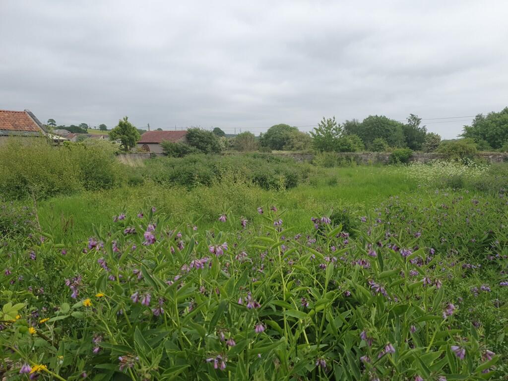 Main image of property: Land At Standalane, Kincardine, FK10 4NZ