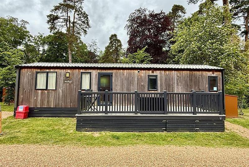3-bed caravan on A.B.I Woodland Superior  2019, Sandy Balls Holiday Village, Southampton Road, Fordingbridge, Hampshire, SP6 2JZ, £69,995