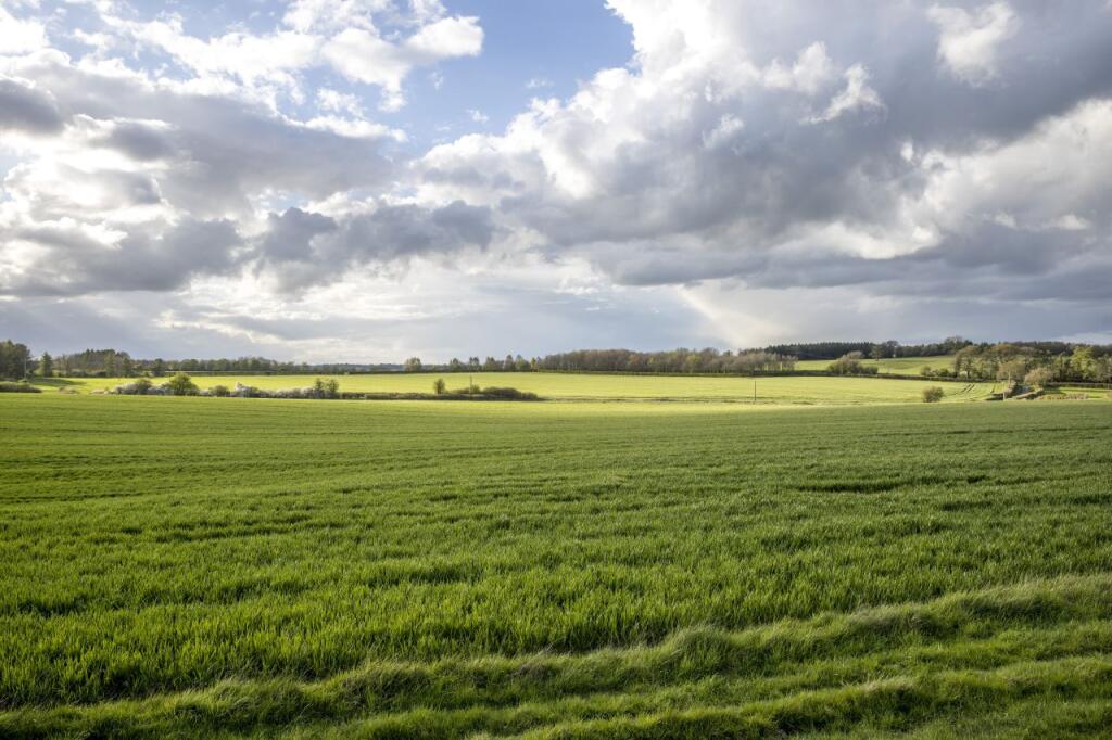 Highlands Farm