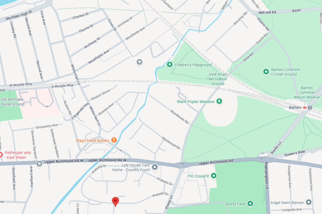 Arabella Drive, Putney, SW15 5LG - More