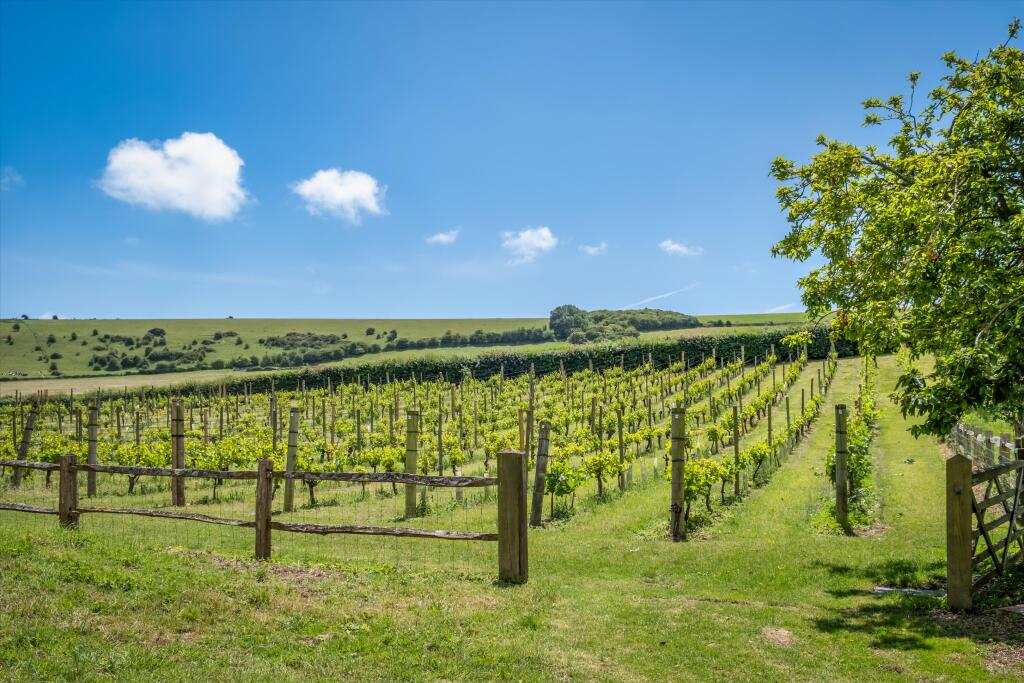Whiteway Lane, Rodmell, Lewes, East Sussex BN7 - View 6