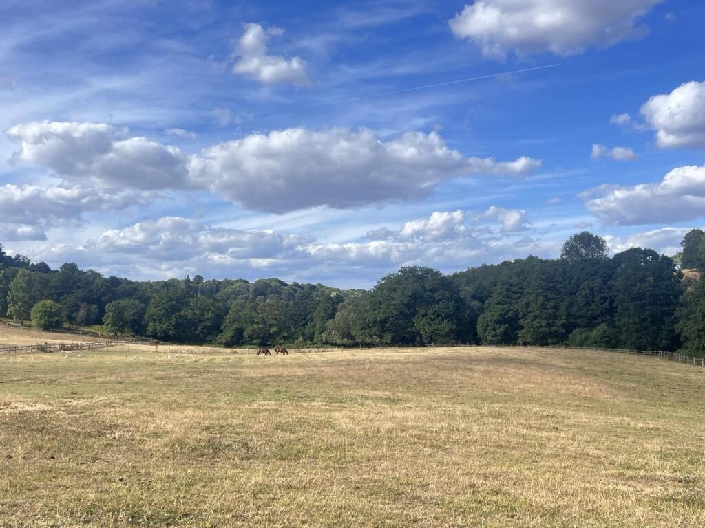 Hascombe, Surrey - View 5