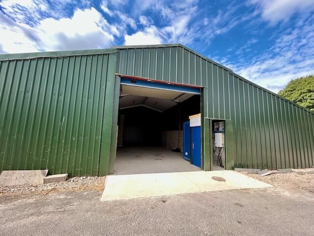 Photo 11
