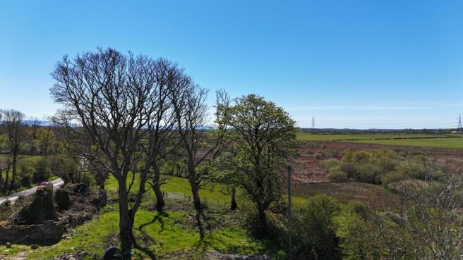 DJI_20260424131409_0022_D.JPG