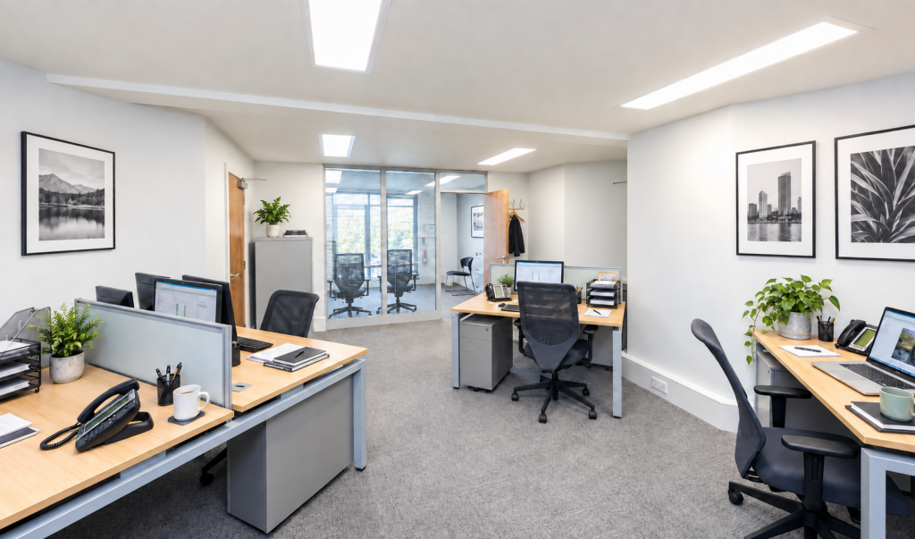 12 Person Office with Management Suite