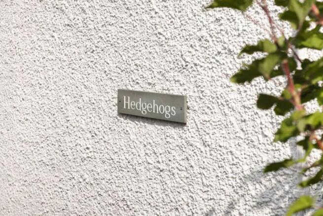 Hedgehogs