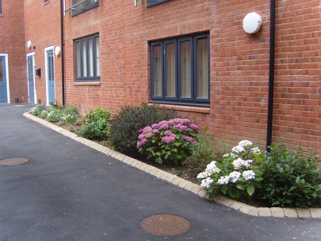 Main image of property: George Street,Bridgwater,TA6