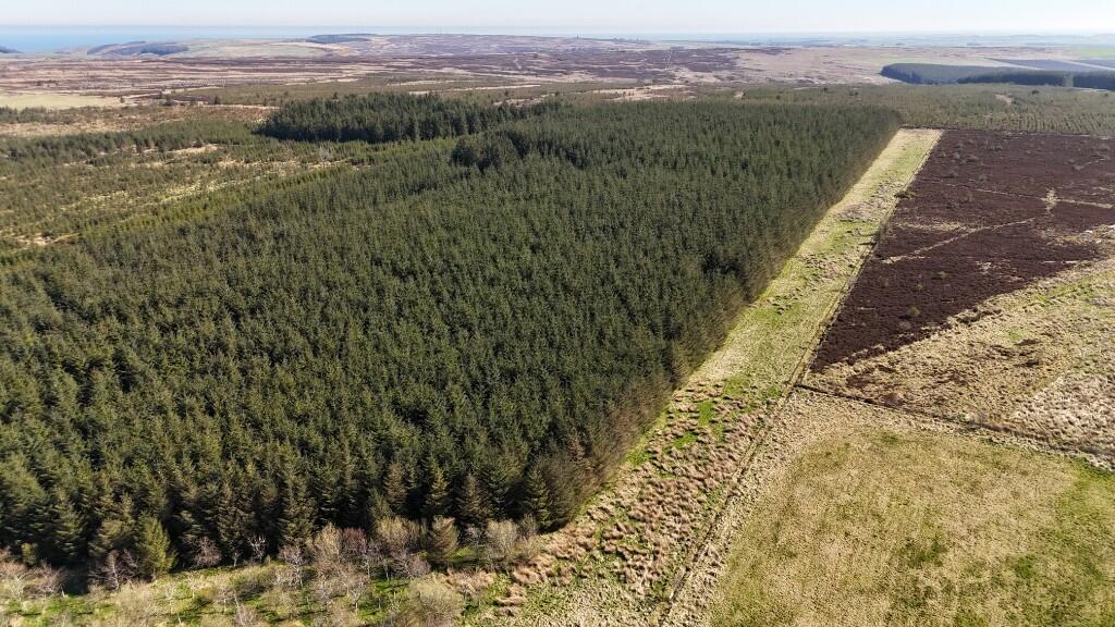 Additional image 5 of Woodland at Broadmuir, Hill of Fisherie, Turriff, AB53 5QL