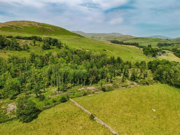 Knott Plantation & Pastureland - Lot 3