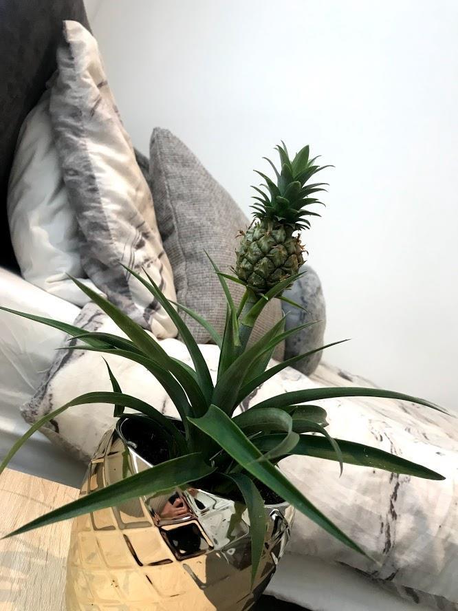 Heath Street, Burnley