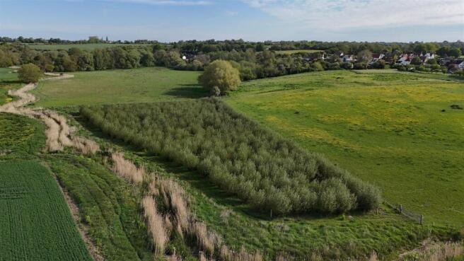 DJI_20260512084951_0590_D.JPG
