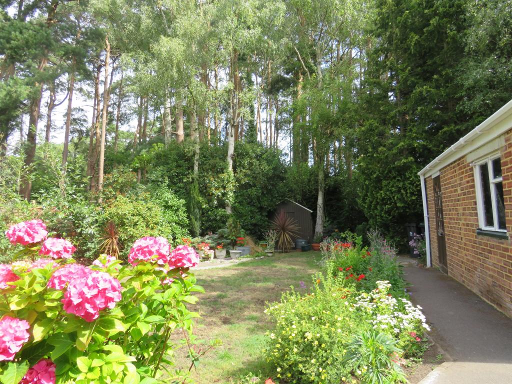 Photo of the property