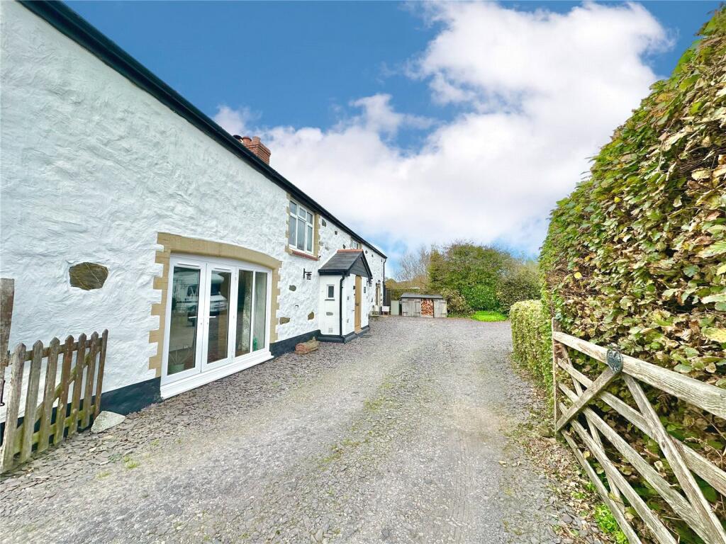 Newton St. Petrock, Torrington, Devon photo 3
