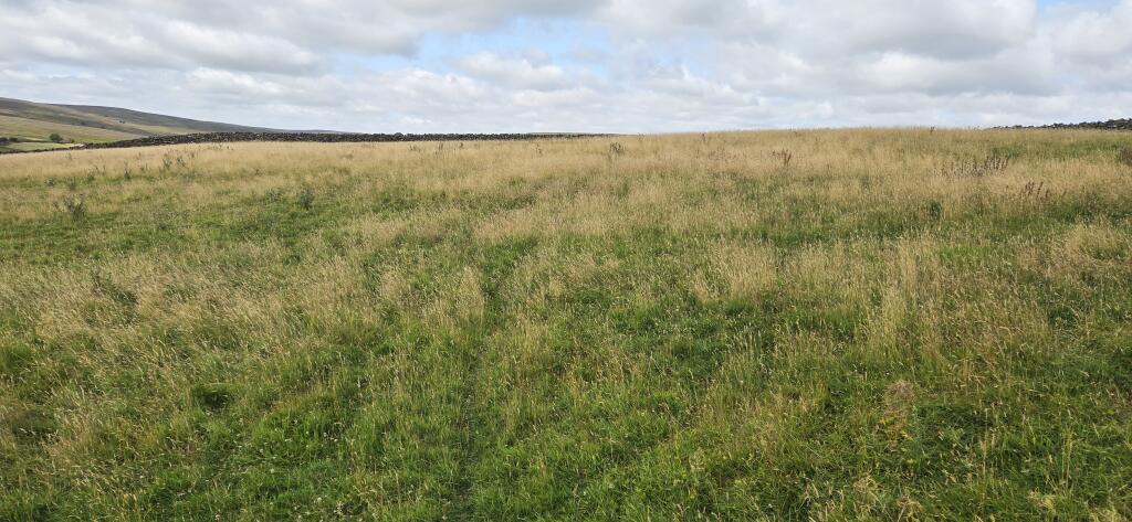 Land at Fowl Green Farm, Commondale, Whitby, North Yorkshire - More