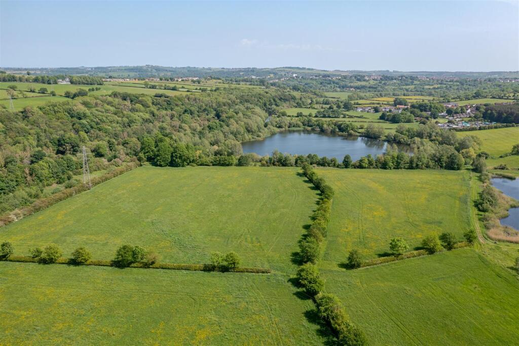 Escomb Nature Reserve, Escomb, Bishop Auckland - View 3