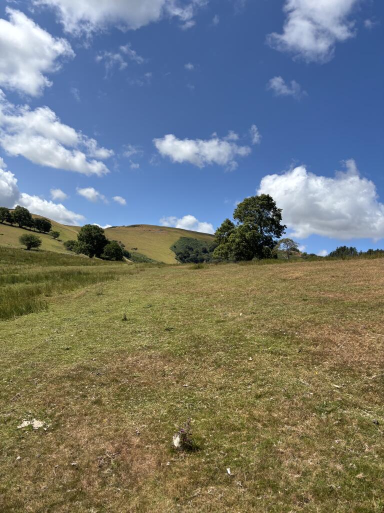 Land at Tycanol Farm, Tafolwern, Llanbrynmair, Powys - View 4
