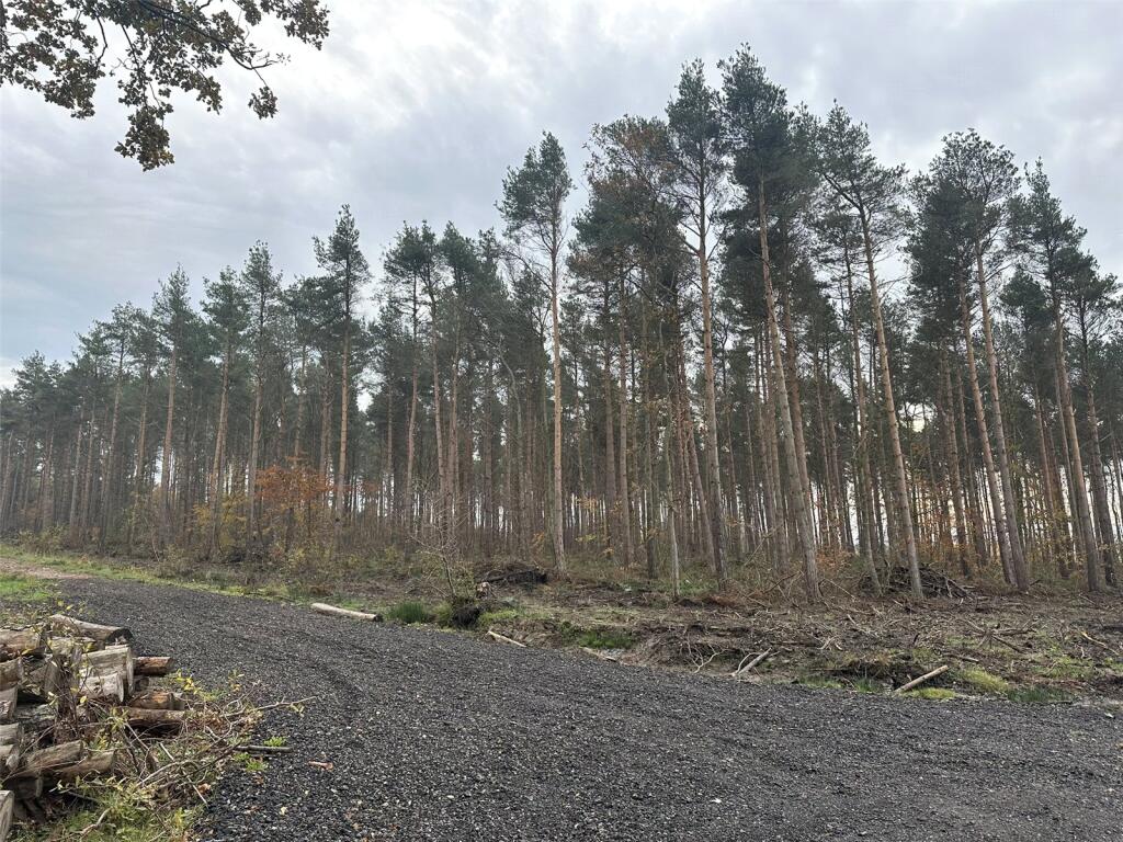 Holiday Lodge Development Site, Durham Road, Wingate, Durham - View 2