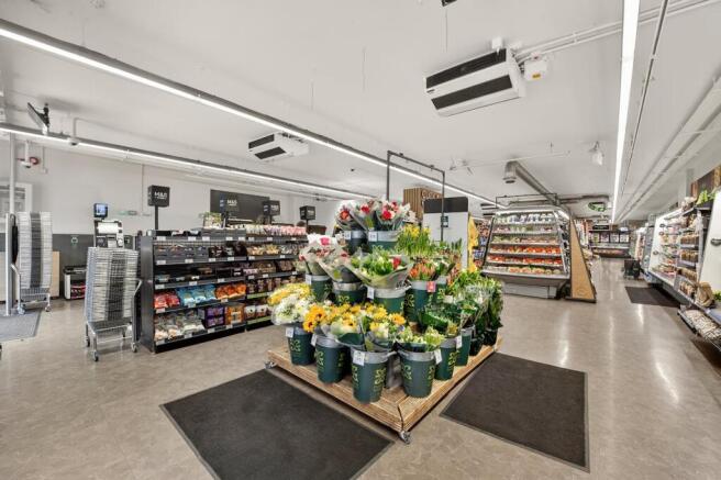 SHOP 8.jpg